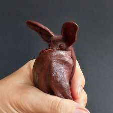 Летучая мышь - ушан. Летучая мышь - ушан.