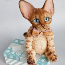Котенок в стиле тедди. Девон рекс
