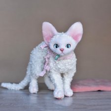 Белая кошечка Девон рекс - Кёрли. Белая кошечка Девон рекс - Кёрли.