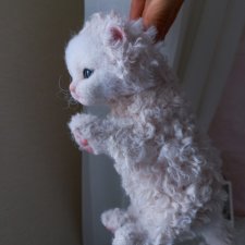 Котенок Селкирк рекс игрушка ручной работы Кудрявые кошки