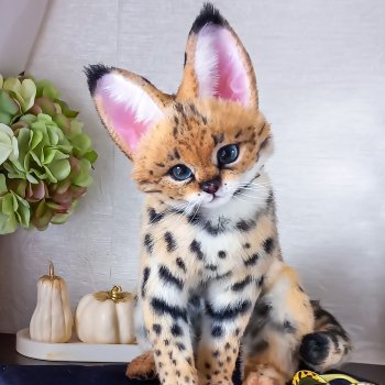 Игрушка дикая кошка. Сервал 🖤