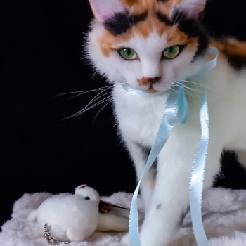 Мягкая игрушка кошечка калико