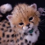 Мягкая игрушка гепард Реалистичный котенок 🐆