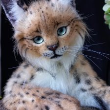 Мягкая игрушка рысь 🐆