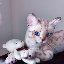 Игрушка котик. Снежный бенгал.