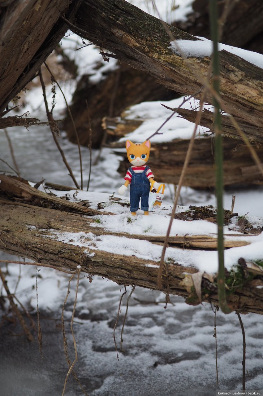 Зимняя прогулка — Куклы Звезды подиума (Angel Collection): шарнирные (фото 2)