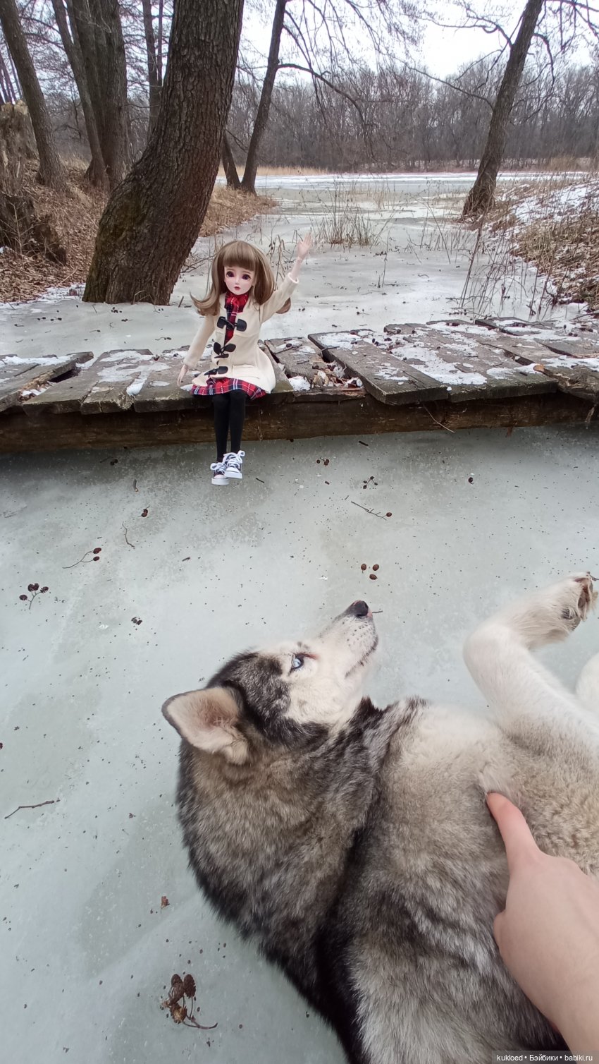 Зимняя прогулка — Куклы Звезды подиума (Angel Collection): шарнирные