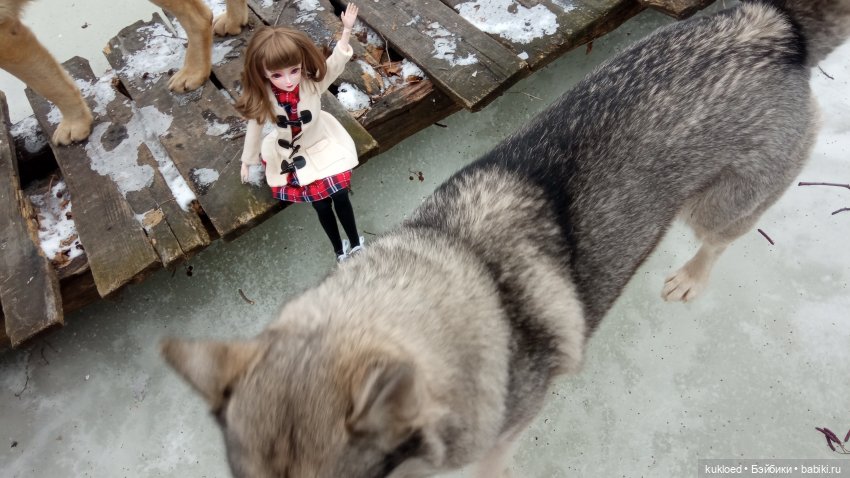 Зимняя прогулка — Куклы Звезды подиума (Angel Collection): шарнирные (фото 10)