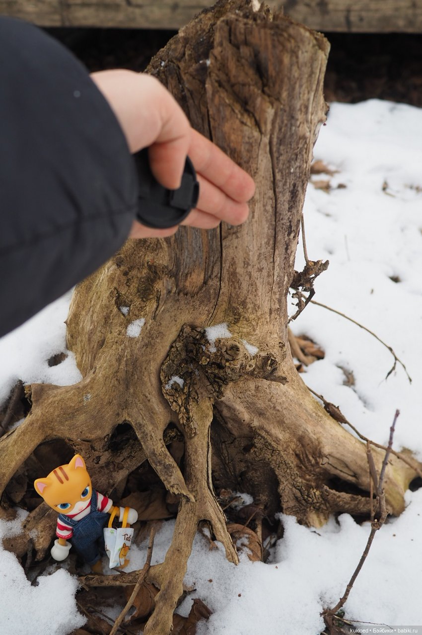 Зимняя прогулка — Куклы Звезды подиума (Angel Collection): шарнирные (фото 3)