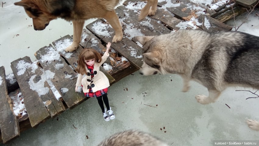 Зимняя прогулка — Куклы Звезды подиума (Angel Collection): шарнирные