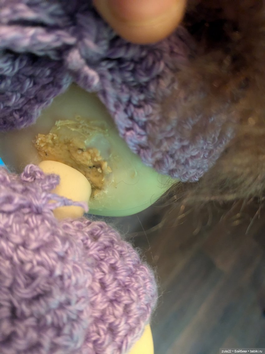 Домовёнки, только не Куськи, а Аньки (фото 4)