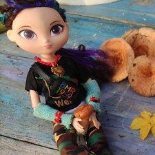 Грибная пора прошла