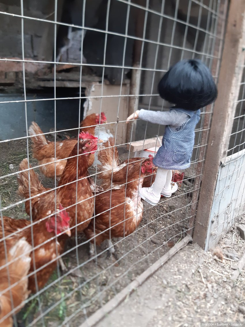 ИЗ ЖИЗНИ КУКОЛ Как Лиу в гости ездила 1ч (фото 3)