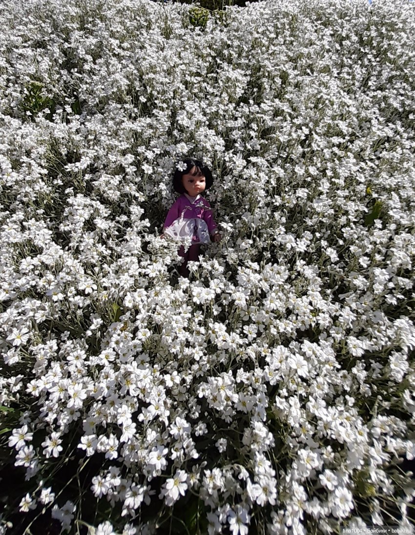 ИЗ ЖИЗНИ КУКОЛ Как Лиу в гости ездила 1ч (фото 10)