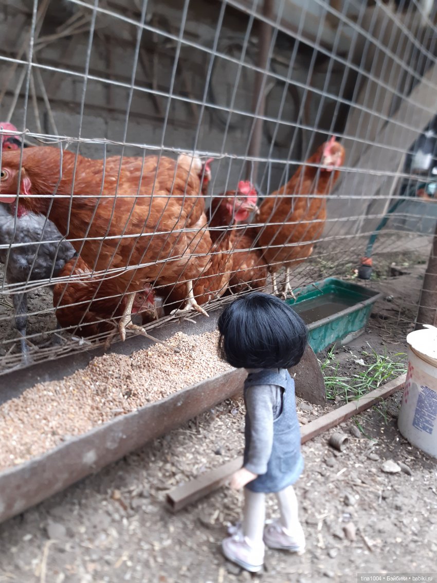 ИЗ ЖИЗНИ КУКОЛ Как Лиу в гости ездила 1ч