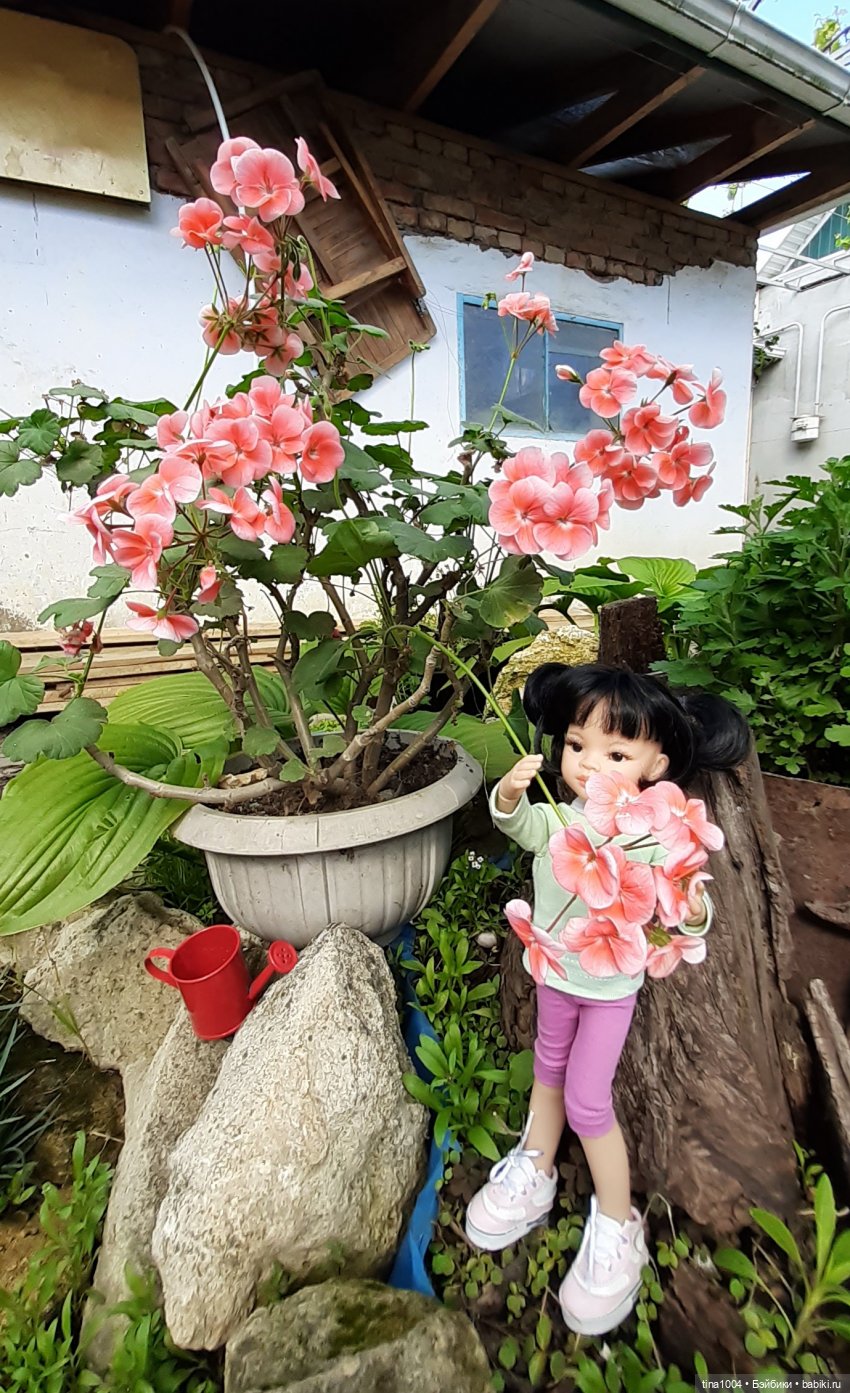 ИЗ ЖИЗНИ КУКОЛ Как Лиу в гости ездила 1ч (фото 7)