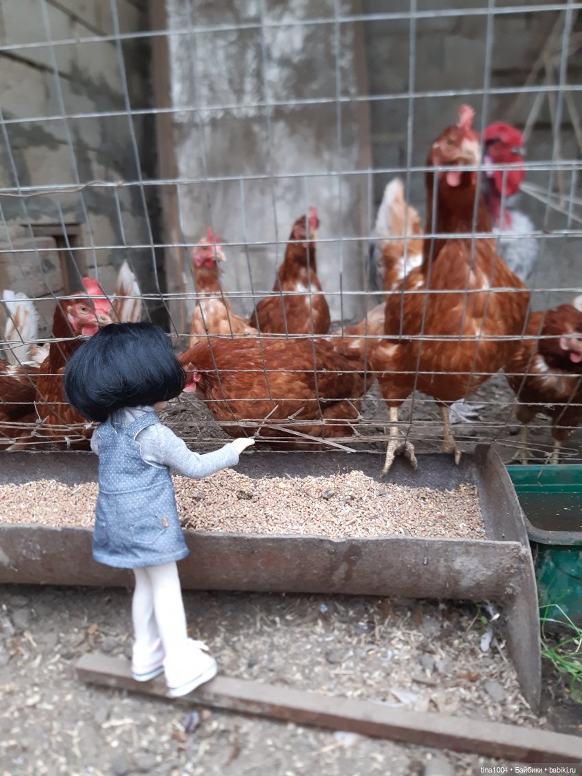 ИЗ ЖИЗНИ КУКОЛ Как Лиу в гости ездила 1ч (фото 2)