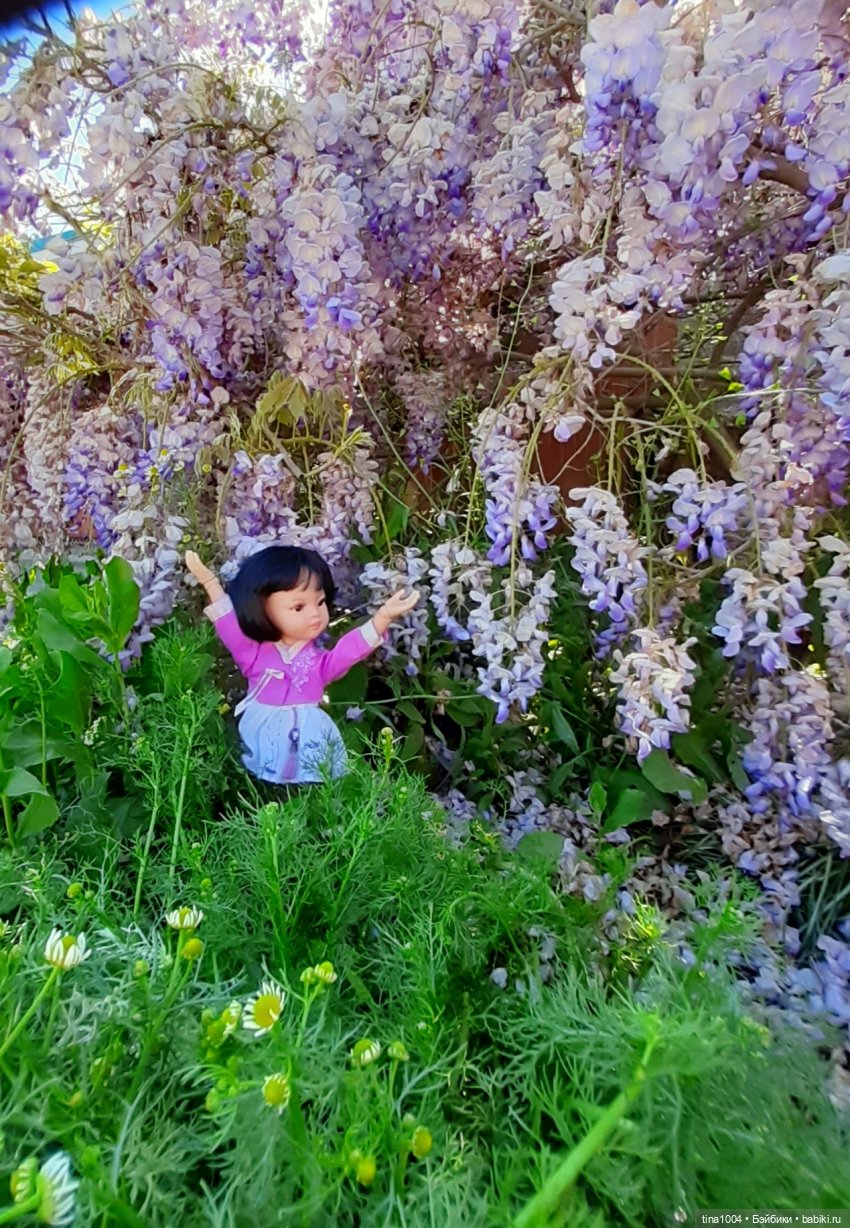 ИЗ ЖИЗНИ КУКОЛ Как Лиу в гости ездила 1ч