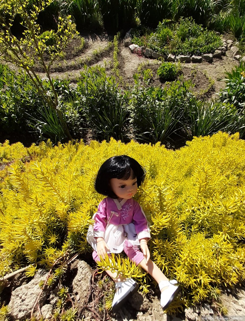 ИЗ ЖИЗНИ КУКОЛ Как Лиу в гости ездила 2ч (фото 4)