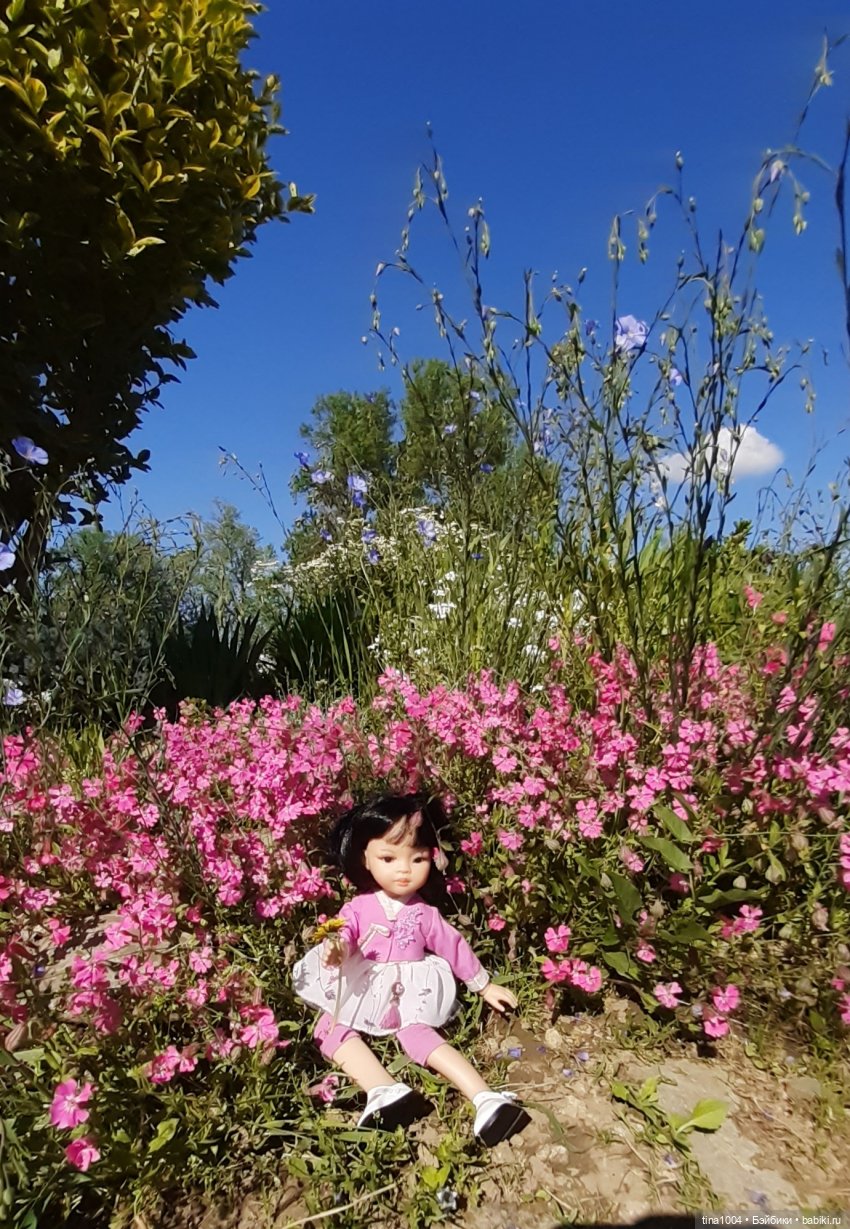 ИЗ ЖИЗНИ КУКОЛ Как Лиу в гости ездила 2ч (фото 5)