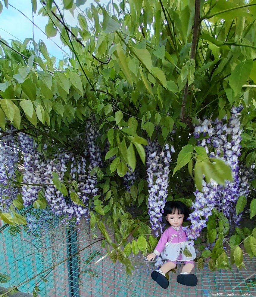 ИЗ ЖИЗНИ КУКОЛ Как Лиу в гости ездила 2ч (фото 2)