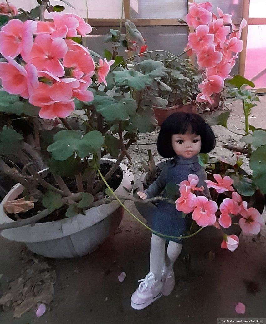 ИЗ ЖИЗНИ КУКОЛ Как Лиу в гости ездила 2ч (фото 8)