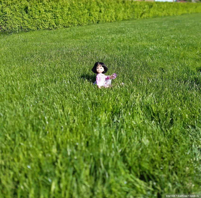 ИЗ ЖИЗНИ КУКОЛ Как Лиу в гости ездила 2ч (фото 9)