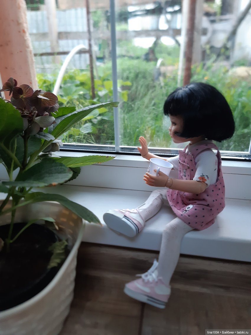 ИЗ ЖИЗНИ КУКОЛ Как Лиу в гости ездила 2ч