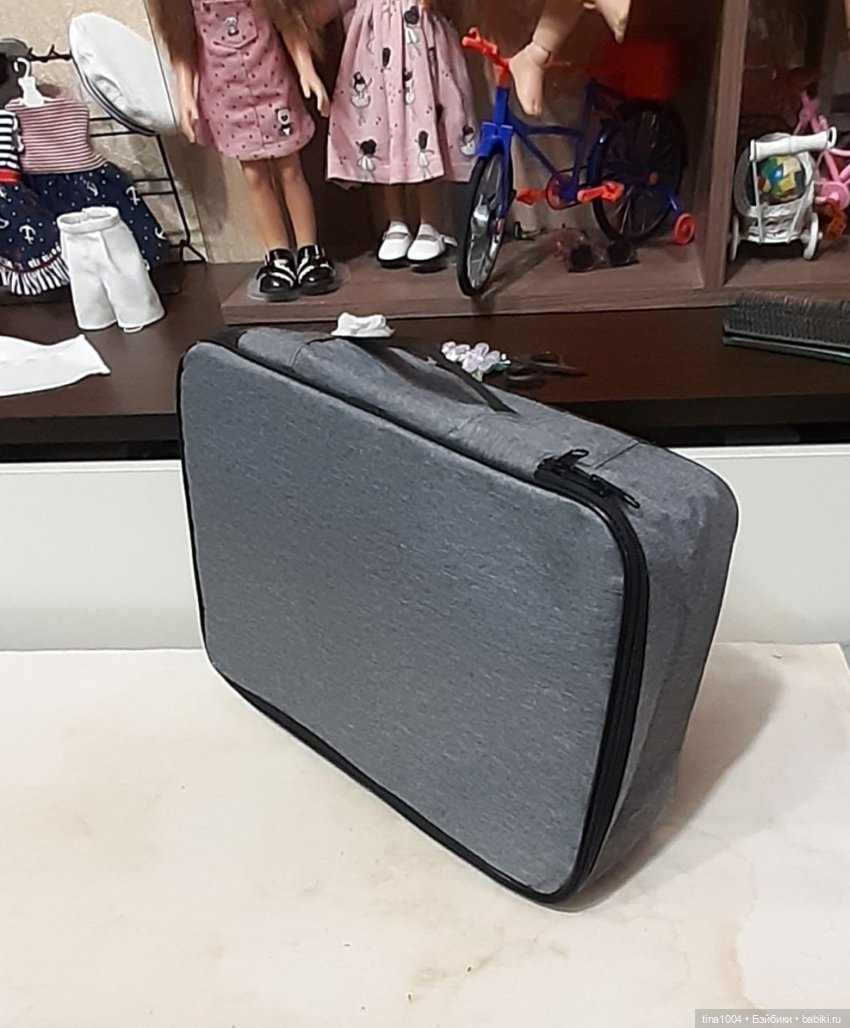 КАК ОНИ ЖИВУТ: бюджетная переноска (фото 5)