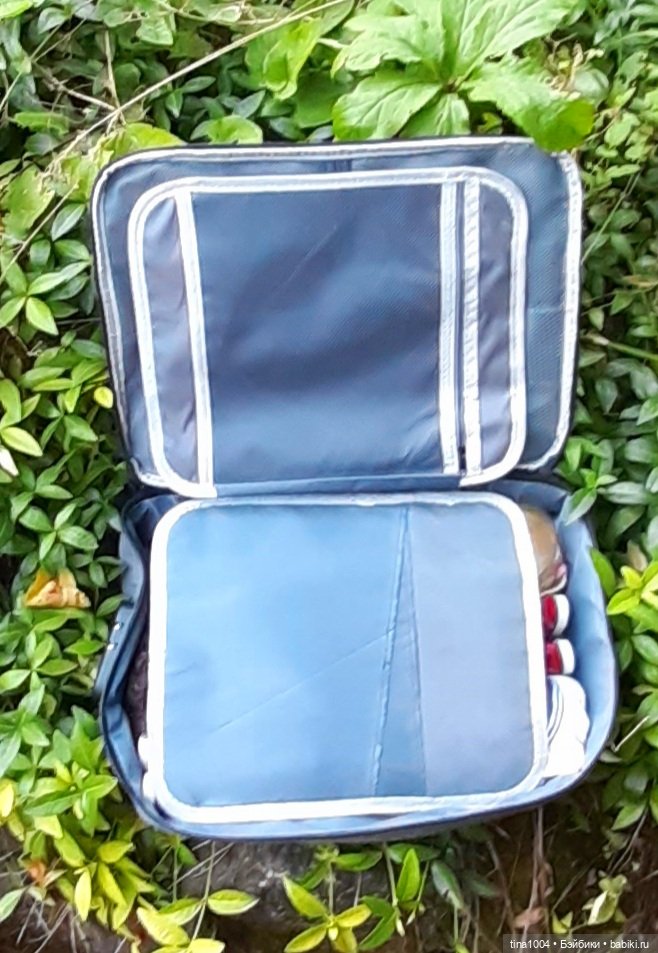 КАК ОНИ ЖИВУТ: бюджетная переноска (фото 8)