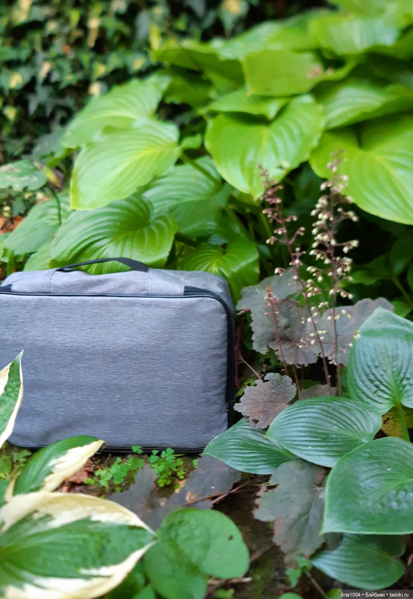 КАК ОНИ ЖИВУТ: бюджетная переноска (фото 6)