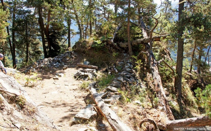 ИЗ ЖИЗНИ КУКОЛ Как они отдыхают Летний Архыз (фото 4)