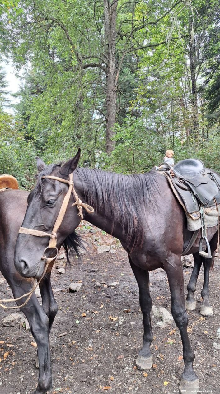 ИЗ ЖИЗНИ КУКОЛ Как они отдыхают Летний Архыз