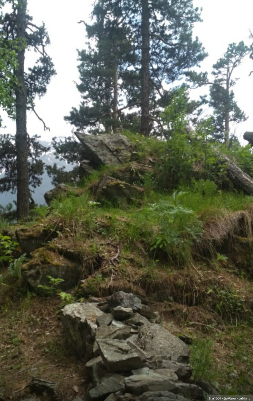 ИЗ ЖИЗНИ КУКОЛ Как они отдыхают Летний Архыз (фото 3)