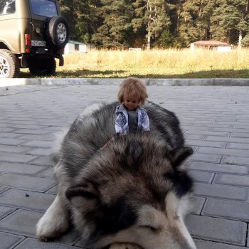 ИЗ ЖИЗНИ КУКОЛ Как они отдыхают  Летний Архыз 5ч