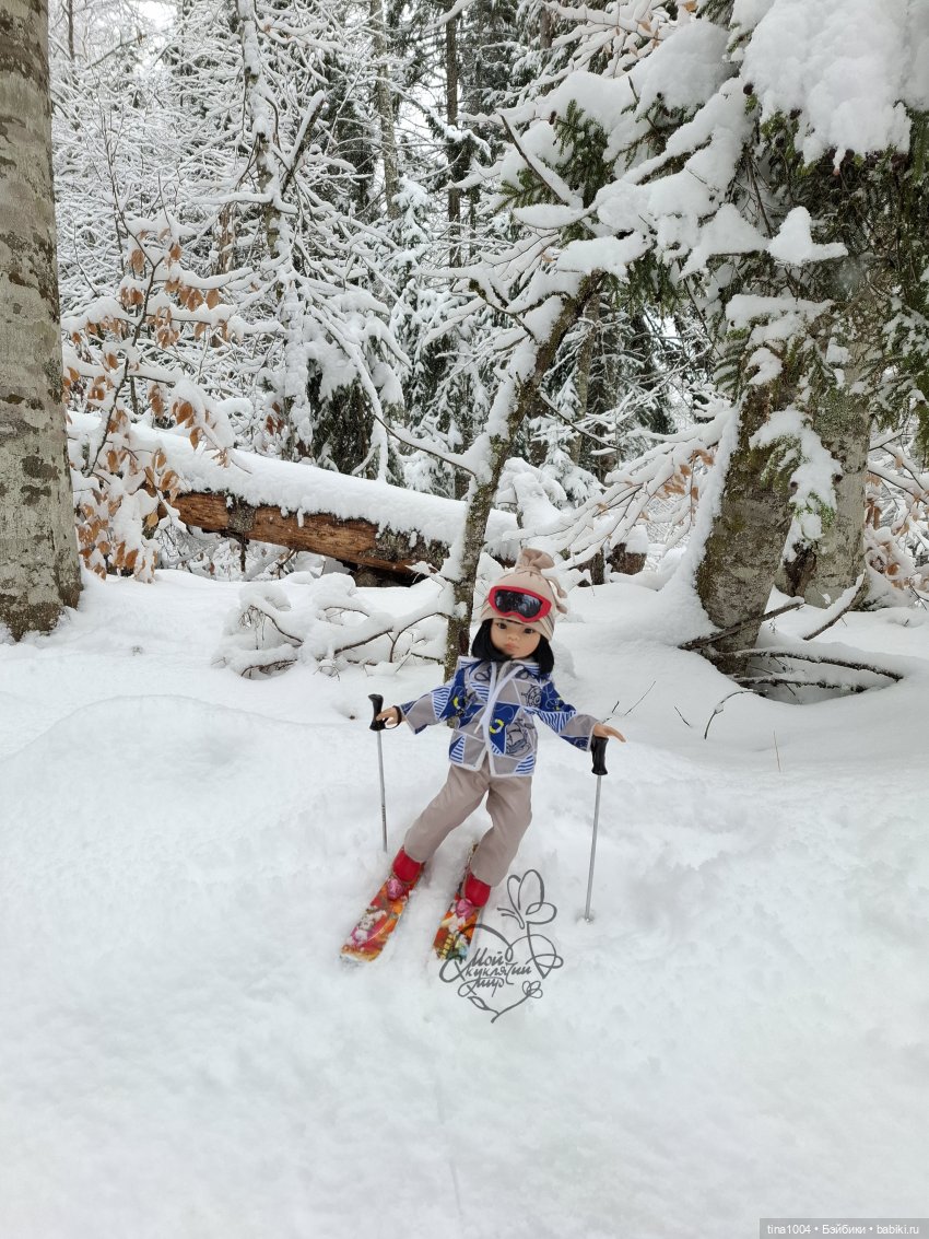 ИЗ ЖИЗНИ КУКОЛ "покатушный сезон 24-25" (фото 4)