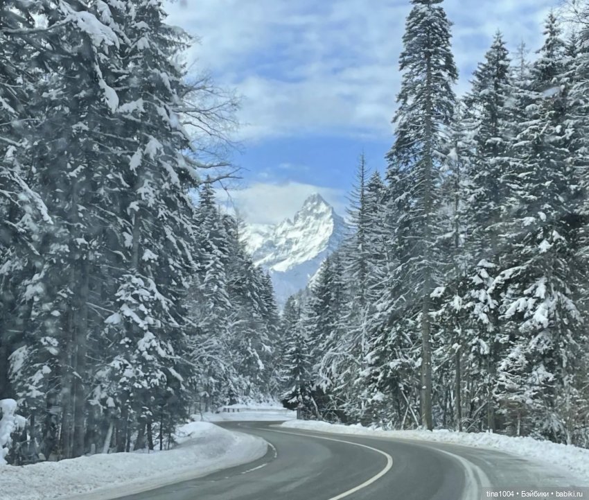 ИЗ ЖИЗНИ КУКОЛ "покатушный сезон 24-25" (фото 3)