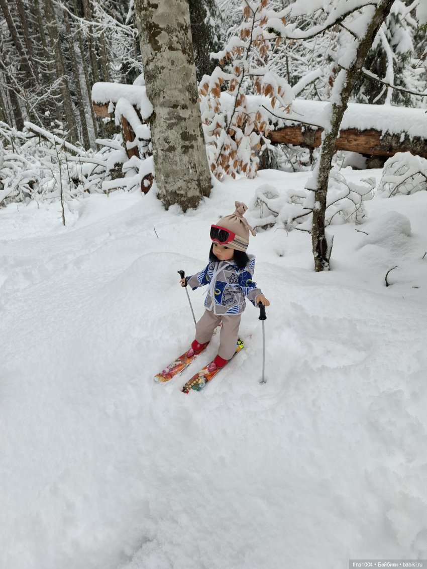 ИЗ ЖИЗНИ КУКОЛ "покатушный сезон 24-25" (фото 5)