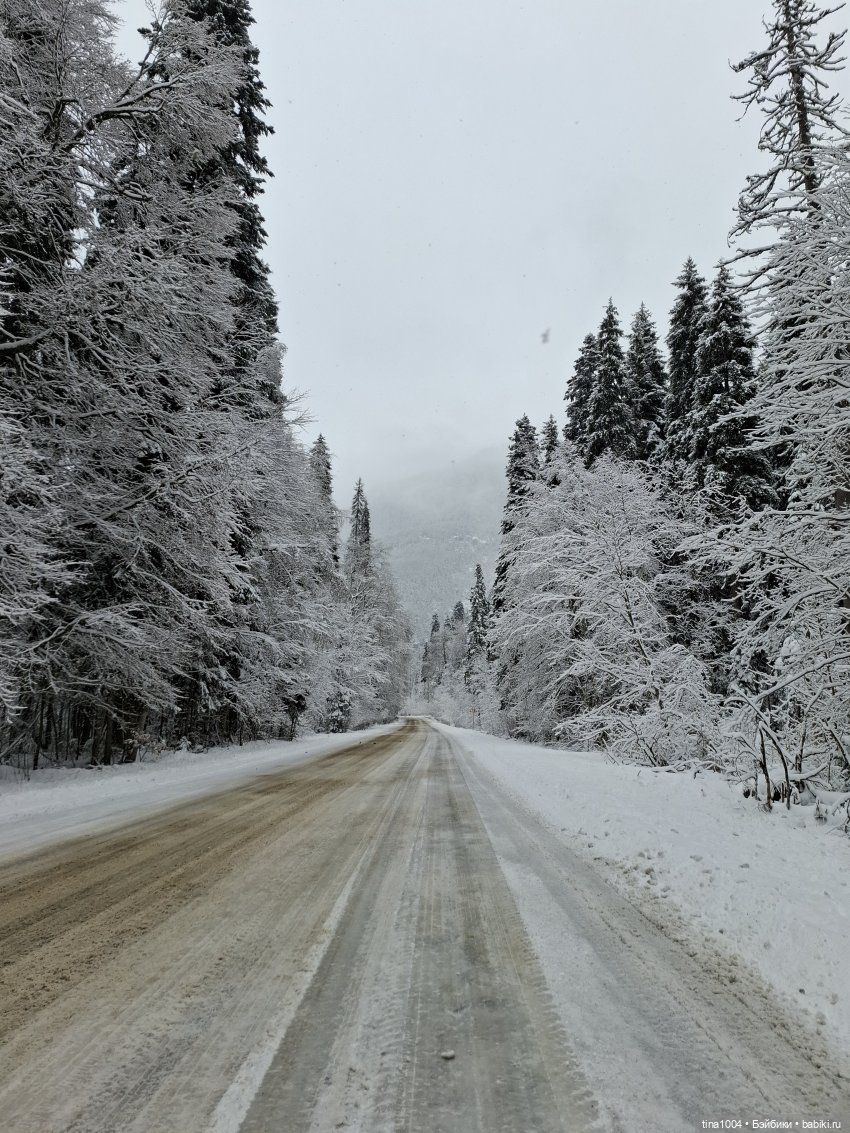 ИЗ ЖИЗНИ КУКОЛ "покатушный сезон 24-25"