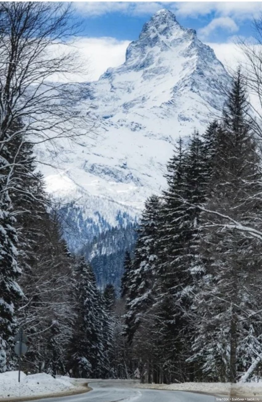 ИЗ ЖИЗНИ КУКОЛ "покатушный сезон 24-25" (фото 2)