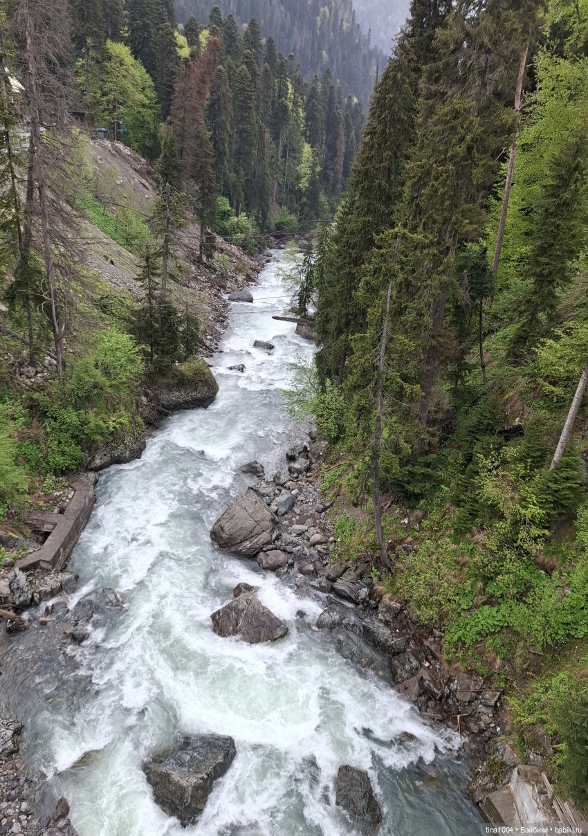 ИЗ ЖИЗНИ КУКОЛ "покатушный сезон 24-25" (фото 3)