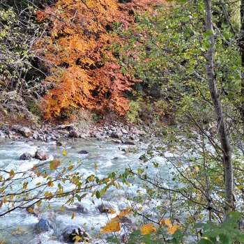 День длинных прогулок