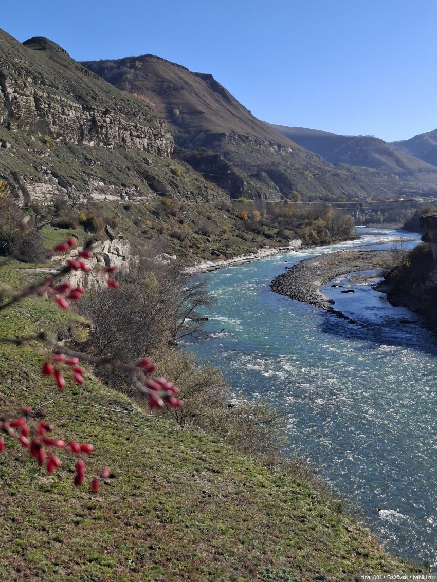 ИЗ ЖИЗНИ КУКОЛ осенние путешествия 1ч | Бэйбики ИЗ ЖИЗНИ КУКОЛ осенние путешествия 1ч (фото 4)