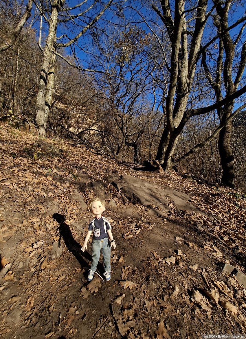 ИЗ ЖИЗНИ КУКОЛ осенние путешествия 1ч | Бэйбики ИЗ ЖИЗНИ КУКОЛ осенние путешествия 1ч (фото 8)