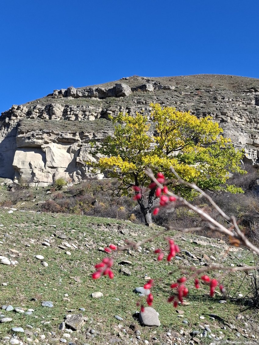 ИЗ ЖИЗНИ КУКОЛ осенние путешествия 1ч | Бэйбики ИЗ ЖИЗНИ КУКОЛ осенние путешествия 1ч (фото 2)