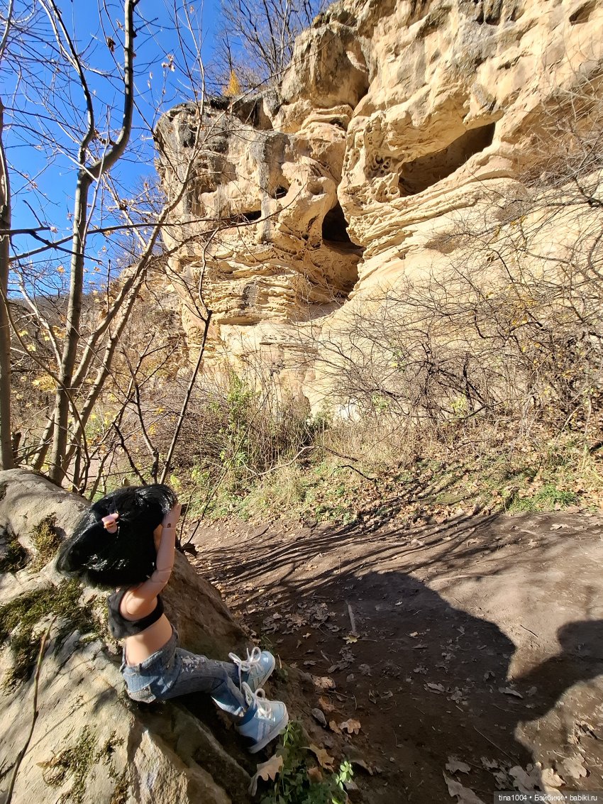 ИЗ ЖИЗНИ КУКОЛ осенние путешествия 1ч | Бэйбики ИЗ ЖИЗНИ КУКОЛ осенние путешествия 1ч (фото 5)