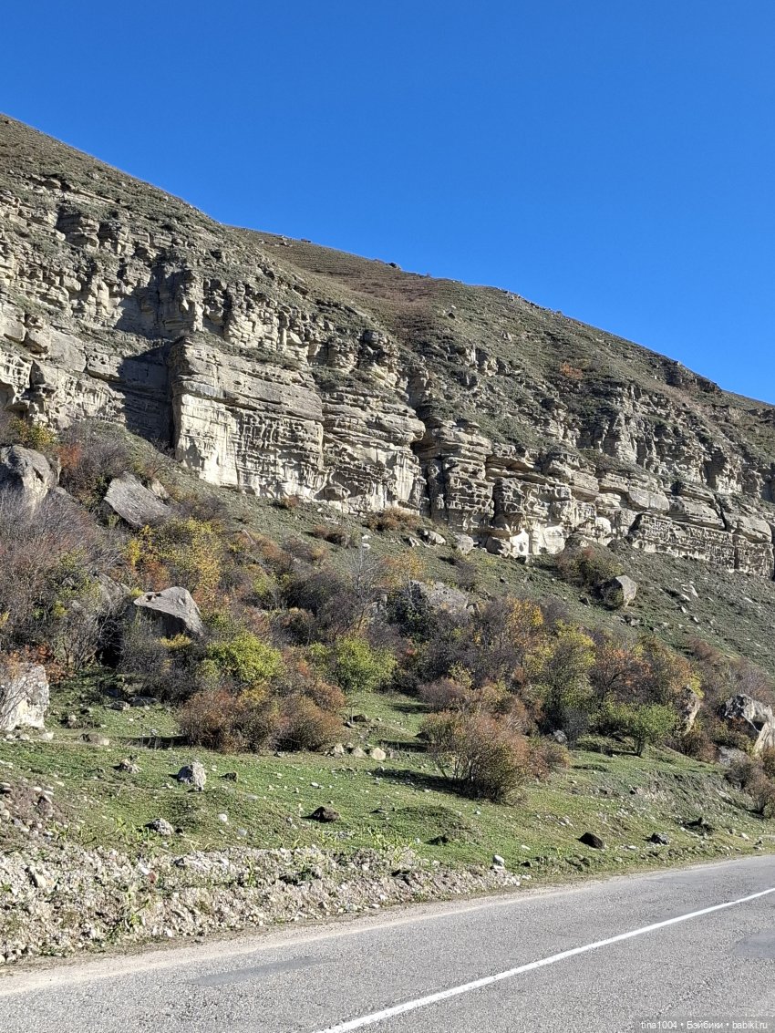 ИЗ ЖИЗНИ КУКОЛ осенние путешествия 1ч | Бэйбики ИЗ ЖИЗНИ КУКОЛ осенние путешествия 1ч (фото 3)