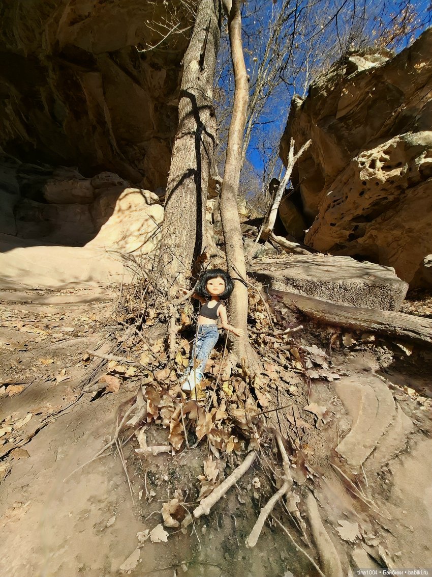 ИЗ ЖИЗНИ КУКОЛ осенние путешествия 1ч | Бэйбики ИЗ ЖИЗНИ КУКОЛ осенние путешествия 1ч (фото 10)