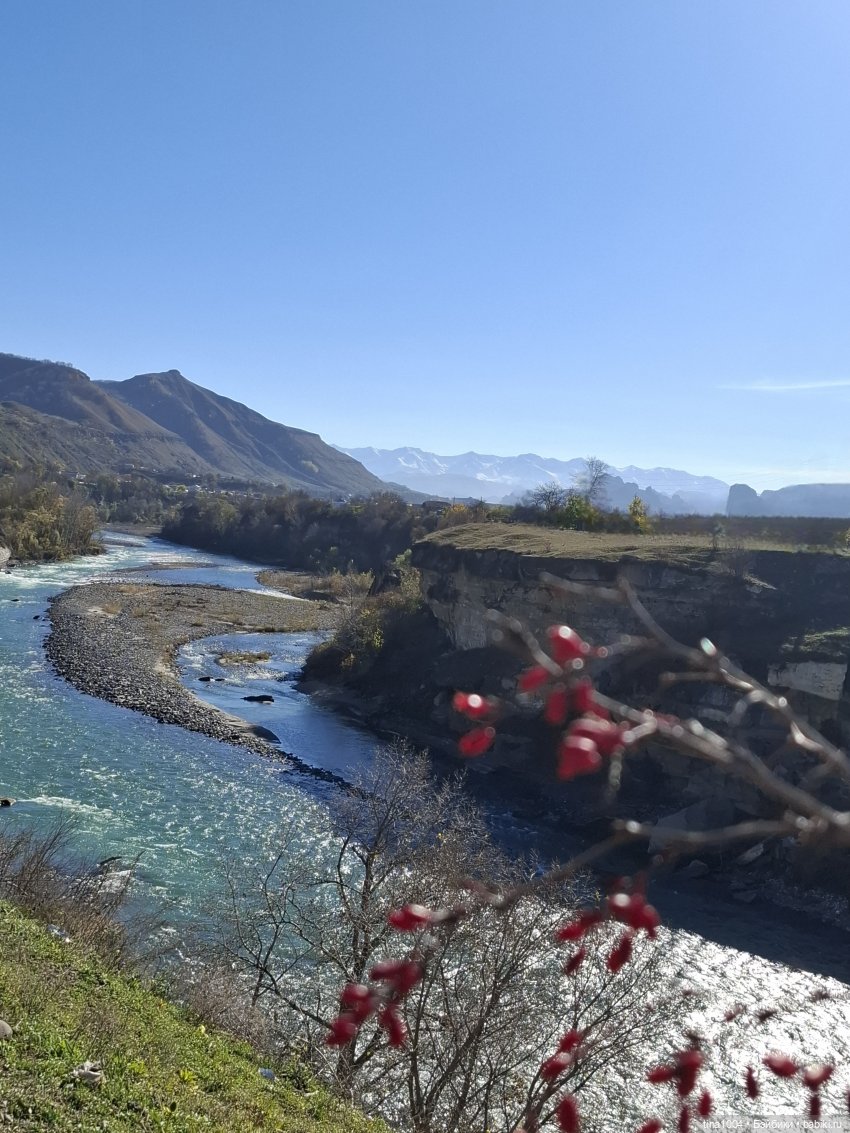 ИЗ ЖИЗНИ КУКОЛ осенние путешествия 1ч | Бэйбики ИЗ ЖИЗНИ КУКОЛ осенние путешествия 1ч