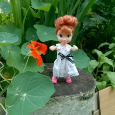 Алекса и компания.